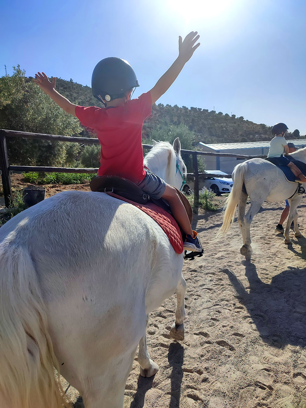 niño caballo escuela ecuestre la estribera